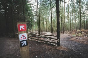 camino en una ruta de senderismo