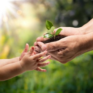 las manos de los adultos pasan una planta a las manos de los niños
