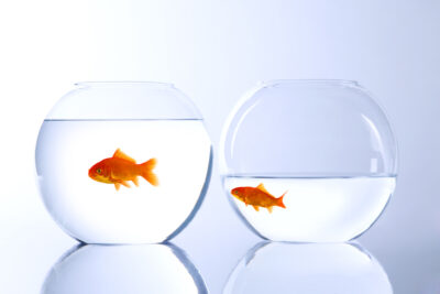 When Equal Isn’t Fair in Family Business